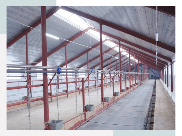 Строительство коровников в Пскове от 609 руб.