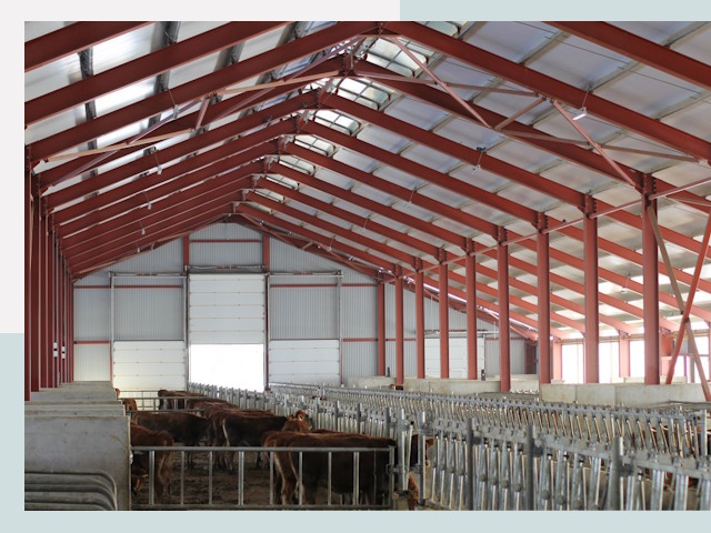 Строительство коровников в Пскове