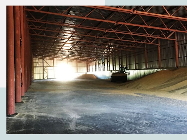 Строительство зернохранилищ в Пскове