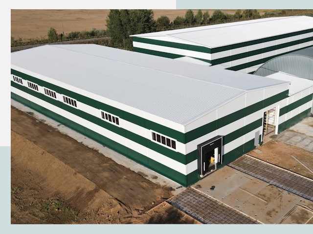 Строительство овощехранилищ в Пскове