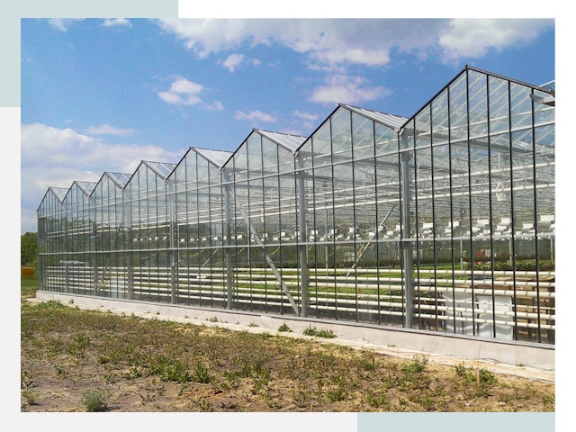 Строительство теплиц в Псков от 609 руб. за м²