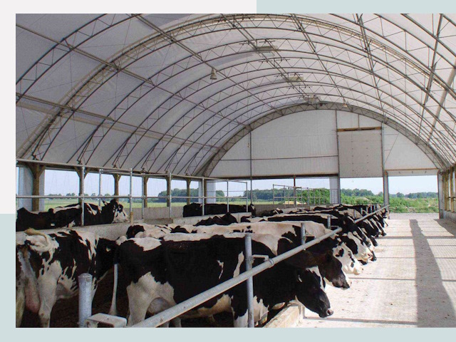 Тентовые коровники в Пскове